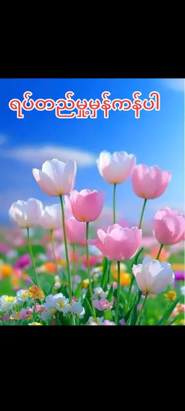 #🇲🇲 #fypシ゚ # For you #အတွေးအခေါ်စာစုများ  #မူရင်းရေးသားသူအားလေးစားစွာ credit ပေးပါ တယ်#naing oo # tik tok myanmar #🇲🇲 