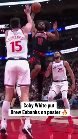 #Chicago #Bulls #NBA