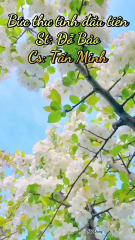 Bức thư tình đầu tiên#ĐỗBảo#xuhuongtiktok #capcut 