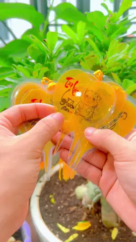 Lá Bồ Đề 12 Con Giáp để ví ốp đt, treo xe treo cửa cây#labode #labode12congiap #12congiap 