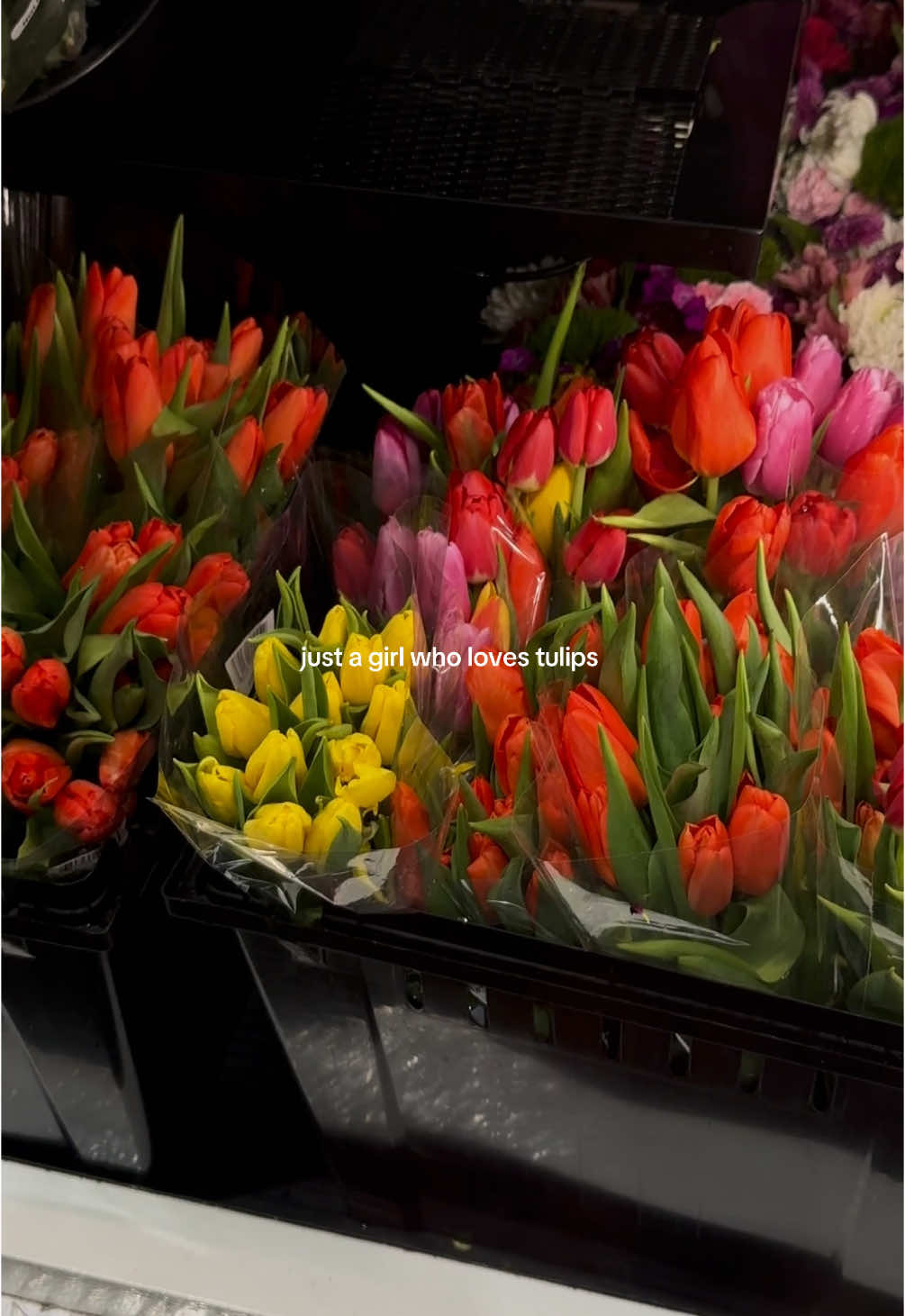 they are so beautiful. I just can’t🥹🌷 #foryou#fyp#foryoupage#tulipseason#flowers#bouquet 