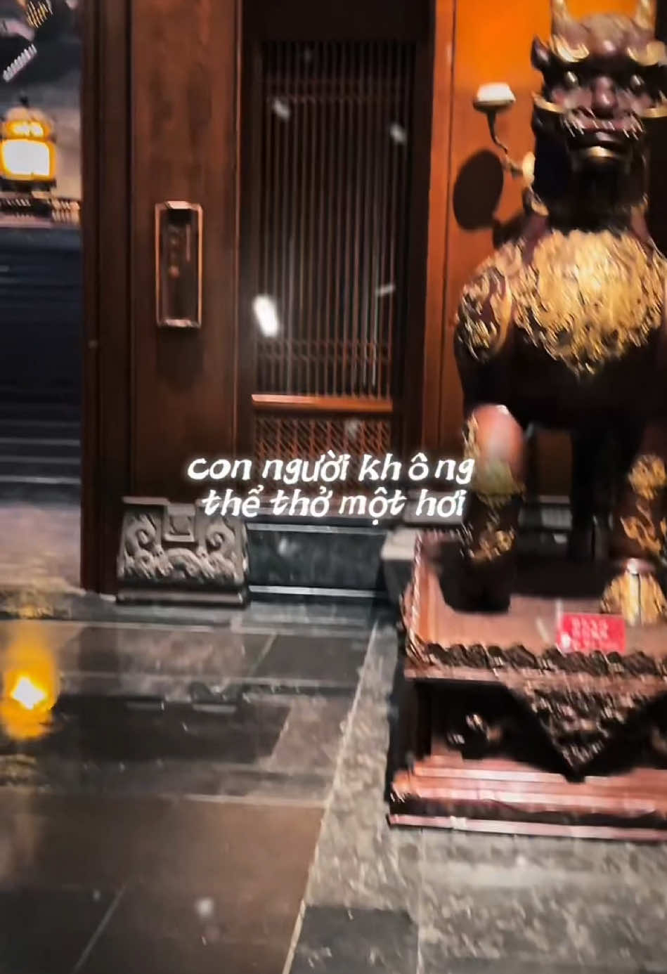 Chậm chính là nhanh #nhansinh #chuyennhansinh #daoly #chiase #suyngam #trítuệ #xuhuong #trending 