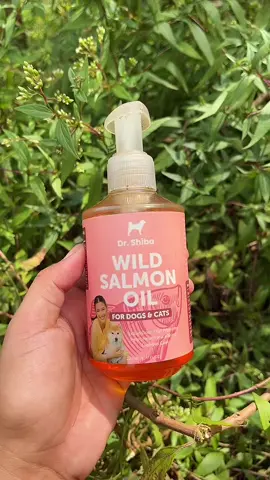 Dr.Shiba Wild Salmon Oil #drshiba #drshibawildsalmonoil #wildsalmonoil #salmonoil 