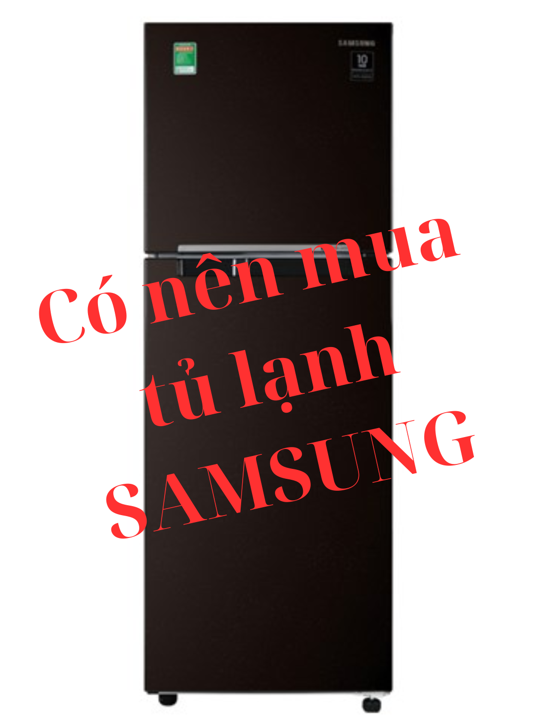 Tủ lạnh Samsung Inverter 236 lít RT22M4032BY/SV #tulanhsamsung