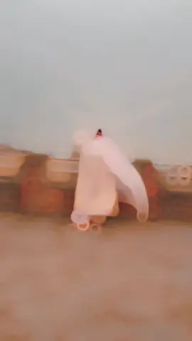 ❤️‍🔥👀😻