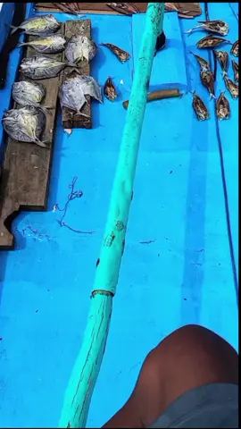 fyppppppppppppppppppp 😜😜