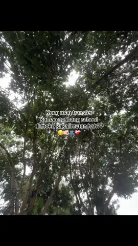 sana hindi 😔💔#fyppppppppppppppppppppppp #fyppppppppppppppppppppppp #fypシ゚viral #4upage 