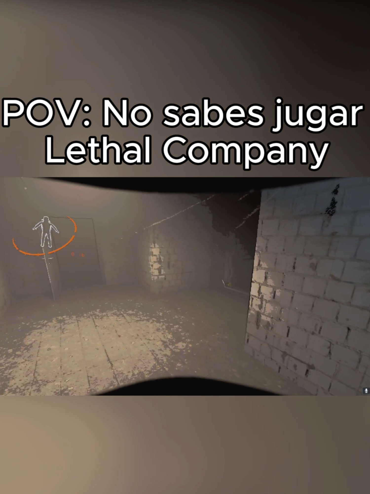 Los pibes le ladraban a los escarabajos para ahuyentarlos😎 | Kick: DobleA4 #streamer #stream #paratiiiiiiiiiiiiiiiiiiiiiiiiiiiiiii #humor #lethalcompany #lethalcompanyfunny #lethalcompanyclip #fypシ゚ 