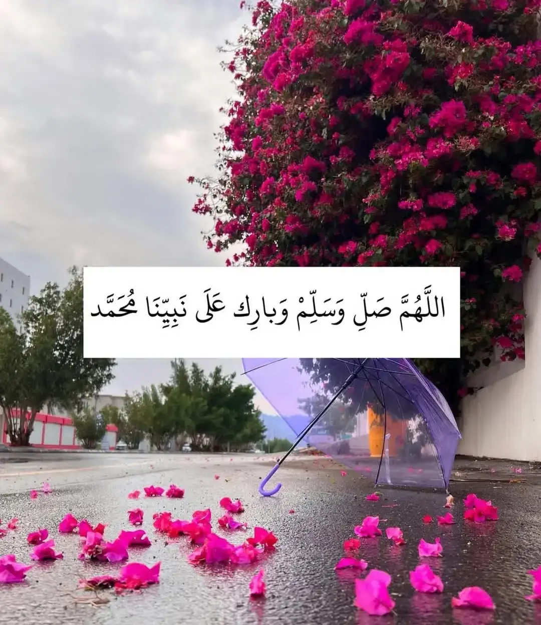 #اللهم_صل_وسلم_على_نبينا_محمد 