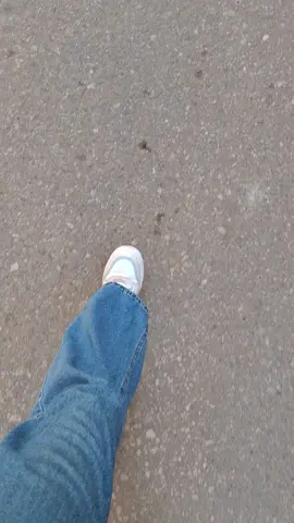 الأصوات الي في دماغي و انا ماشيه في الشارع🤡