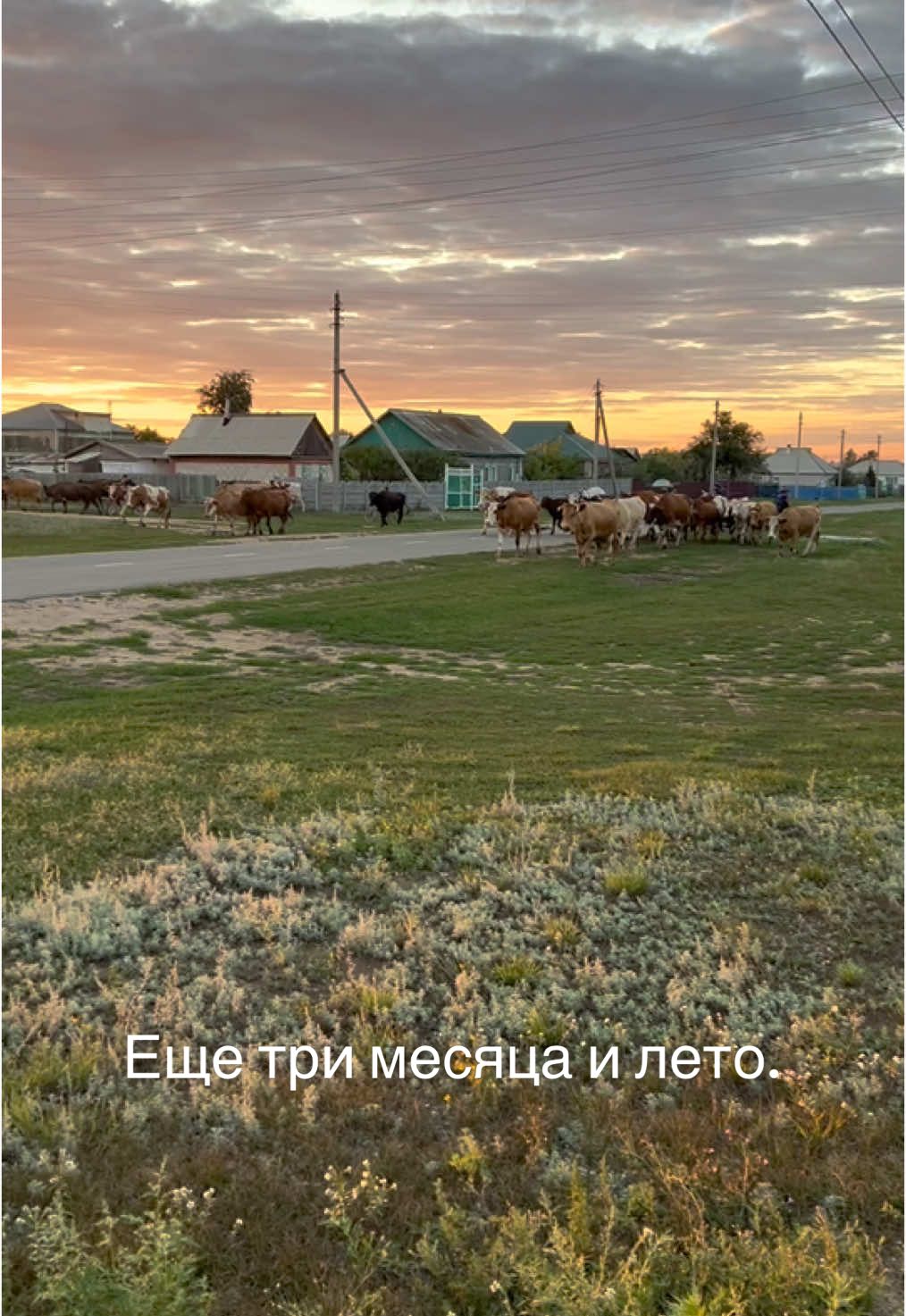 #деревня #назаре #лето #детство #детствонастольгия 