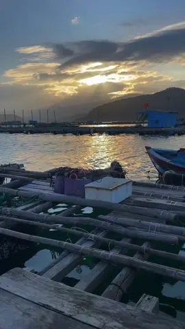 Sau chuyen di nay mong se phai long nhau…#viral #xuhướng #danbien #chill 