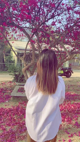 #ဒေစီတော့မရှိဘူးရယ် 🩷@gu gue🌻🖤(မိတ္ထီလာသူ) နော်#fyp #ရုပ်ပြောင်နေတာ 