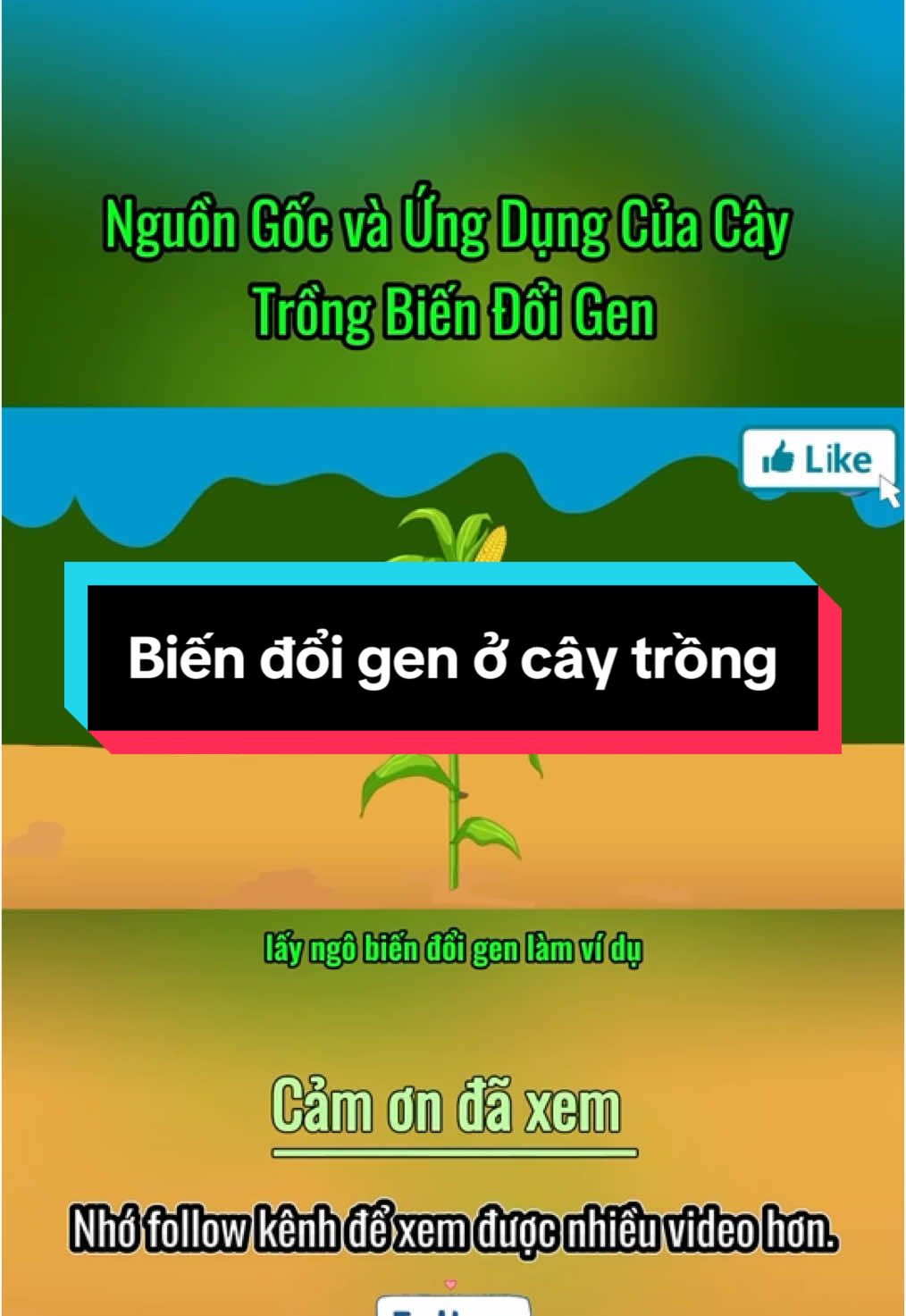 “Biến đổi gen trong cây trồng: Giải pháp cho an ninh lương thực hay thách thức đối với hệ sinh thái?” #cothebanchuabiet #khoahoc 