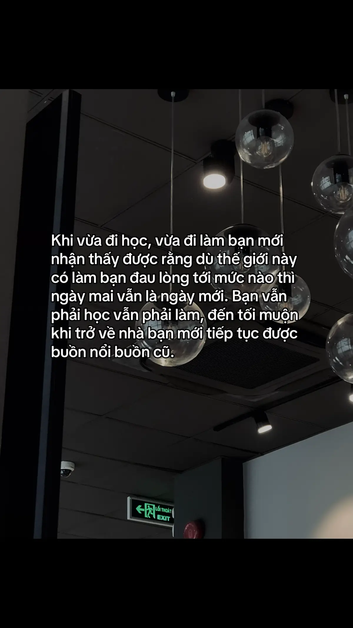 #xuhuong #fyb #gocnhinsinhvien 