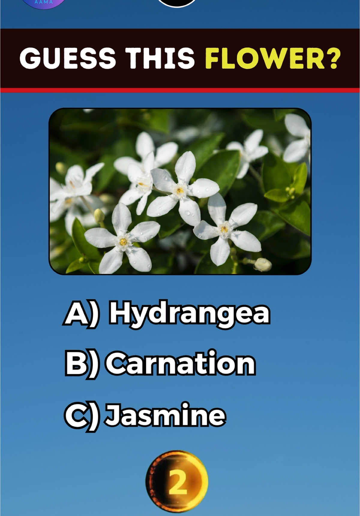 Can you guess these flowers by their picture 🤔 #flower #flowers #quiz #picture #fyp #knowledge #guesstheflower #LearnOnTikTok #generalknowledge #quizaama