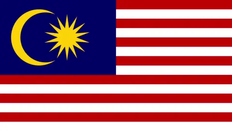 our champ #leeziijia #malaysia #🇲🇾 #badminton #leeziijiaedit #lzj #represent 
