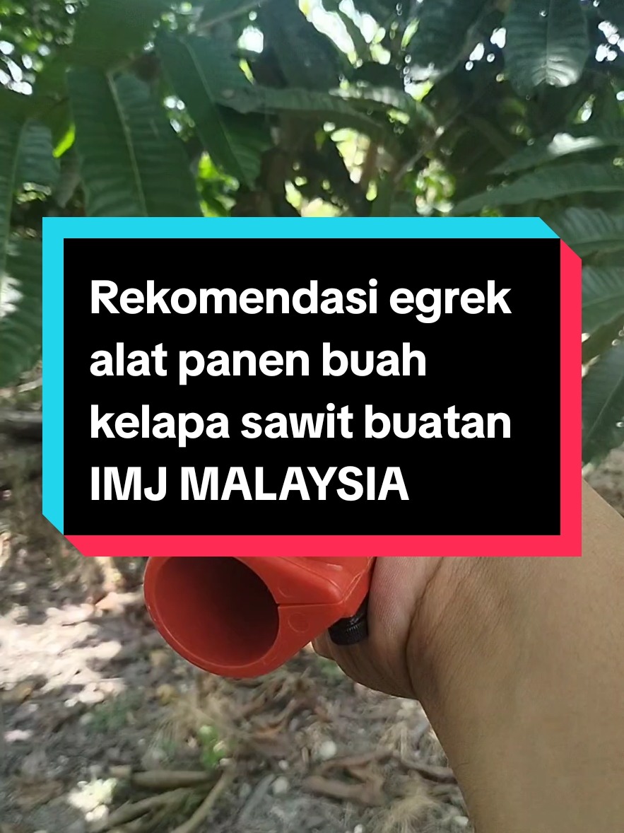 #egreksawit #imjking_long #sawitindonesia #storysawit #sawitontiktok #sawitkalimantan #alatpanensawit #petanisawit #egrekmalaysia #wibgajian #fyp 
