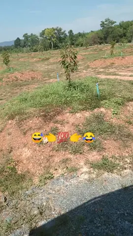 #2026☝️🥰🙂 @🦦 