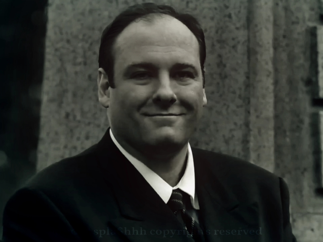 сопрано момент #thesopranosedit #thesopranos #клансопрано 