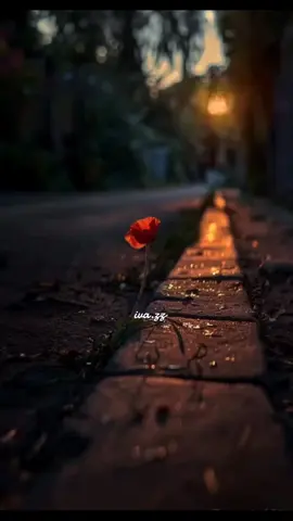 Flor Pálida -- Marc Antony 🎶🎶🎶🎶🥰 #paradedicar #musica #marcanthony #florpalida #CapCut #pararecordar🎶❤ #clasicas #pararecordar #🥺 #🎶 
