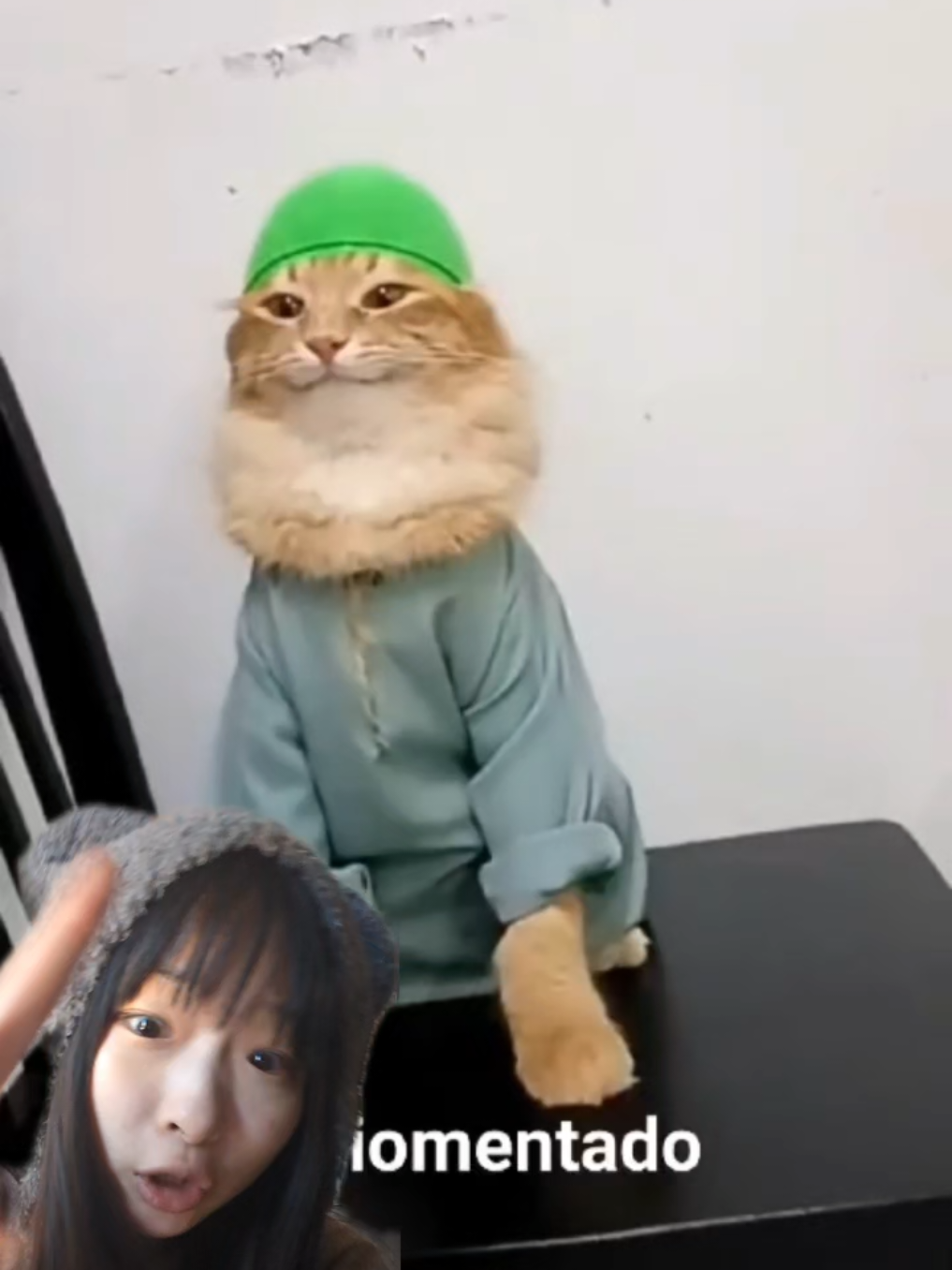 we found the Muslim cat  Ramadan Mubarak God bless all ! follow@Mrmariomentadomalaysia  #cat #catmeme 