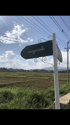 စာသားလေးတစ်ကြောင်းလောက်#fyp #vrial #tiktok #အလွတ် #fyppppppppppppppppppppppp 