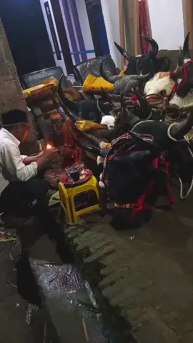 PERBANTENGAN PAMIT ISTIRAHAT SEJENAK DI BULAN SUCI RAMADHAN 🙏🙏 TUTUP BANTENGMU DENGAN UDENGMU MASING*  DAN SAMPAI BERJUMPA LAGI 🙏🙏 MINAL AIDZIN WALFAIDIN MOHON MAAF LAHIR DAN BATIN . SALAM RAHAYU 🙏 @remaja_bhakti #matadorasia #matadorasiaremajabhakti #kabupatenmalang #bantengbrangwetan #bantengnuswantara #CapCut #fypシ #fyp #beranda 