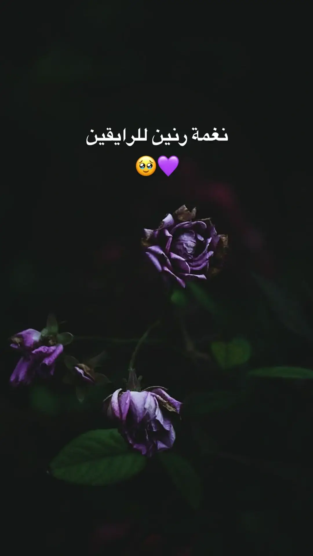 #نغمات_جوال #نغمات_رنين_حزينة #forupage #نغمات_رنين #foruyou 