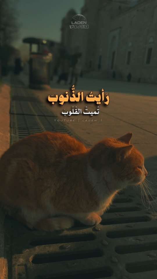 رَأيتُ الذُّنوبَ تُميتُ القُلُوبَ#عُمَر_عُبَيدة #laden_1 #تصويري📸 #حالات_واتس #حالات #اكسبلور #مقاطع_اسلاميه #مقاطع_اسلاميه #السعودية #foryour #foryoupagee #fyp 