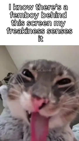 #fyp #femboi #meme .gg/MNqSU7XHhh
