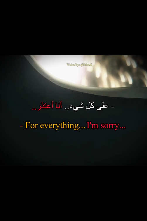 Apologizing - اعتذار 🦉❤️‍🩹 #voiceover #anime #japanese #voiceacting #fy #viral #الشعب_الصيني_ماله_حل😂😂 