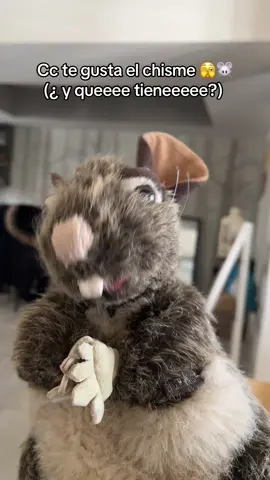 Perdonenmeeeennnn por mi vida loka #ramonatherat #cheesme #fyp 