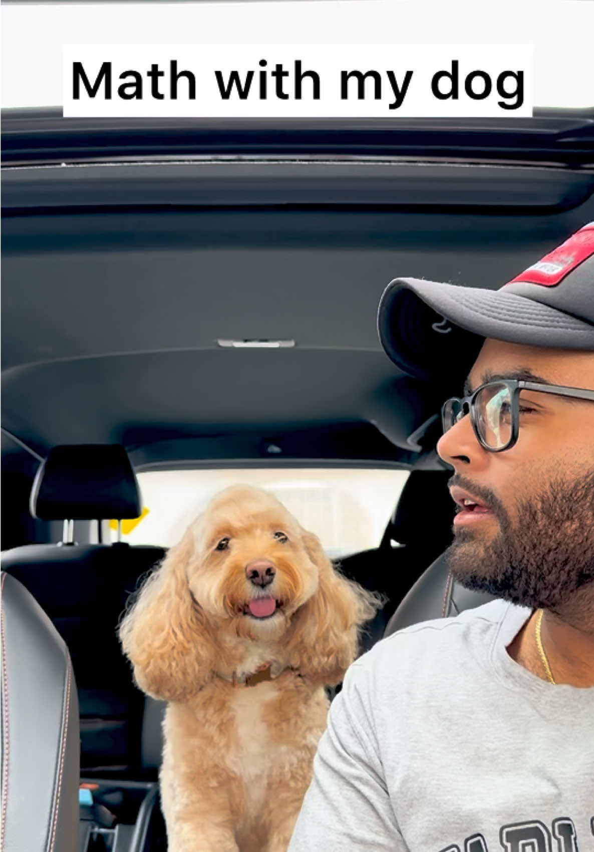 Her face after each one 😳 #dogs #math #dogsoftiktok #puppylove #dog #smartdog #doglove 