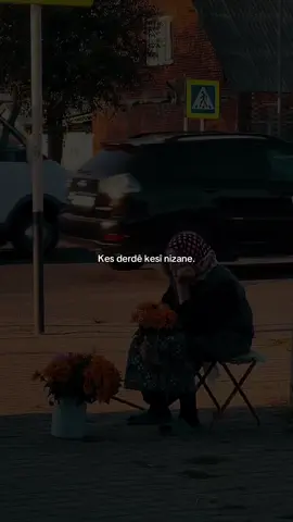 „No one knows the pain of another.”#kurdish #fy #quotes #dengekurdi #sebradilaa 