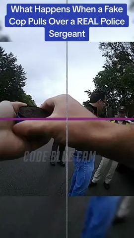 What Happens When a Fake Cop Pulls Over a REAL Police Sergeant #cops #copsoftiktok 