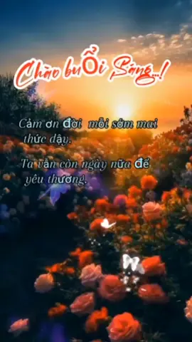 Chào buổi sáng tốt lành #nhackhongloi #nhactrutinh #xuhuongtiktok2025 #tuancon_1985hp 