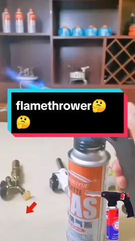 #foryou #tiktok #fyp #flamethrower #spraygun 