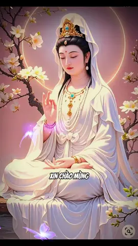 Chúc tháng mới Bình An - Hạnh Phúc đến với mọi nhà #nammoquantheambotat #nammoadidaphat #phatphaptaitam #phatphapnhiemmau #phatphapvobien #nammoadidaphat🙏🙏🙏 #adidaphat🙏🙏🙏 