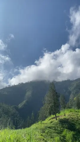 malang seindah ini, dan kamu masih berdiam diri dirumah?  📍kawinajang via cukal bendosari #fyp #fypage #tiktokviral #moots? #foryou #tiktok #mountain #sky #pendakigunung #pendakiindonesia #gunung 