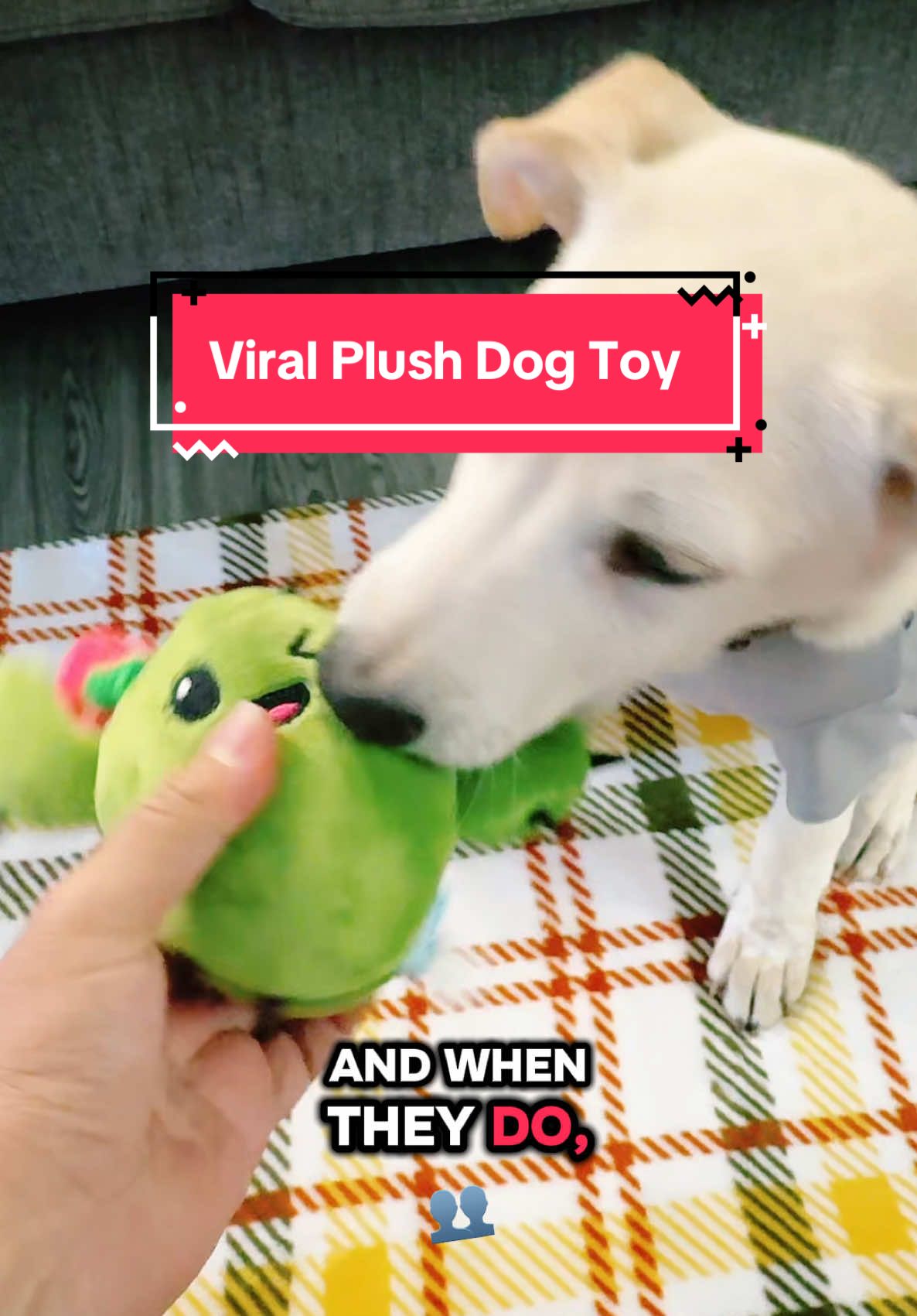 Bark Box’s Consuelo The Cactus 🌵 For Dogs 🐶! #barkbox #barkboxtoys #dogtoys @Shop BARK #dogsoftiktok #doglover #dogs #labradorsoftiktok #labradorpuppy #viraltok 