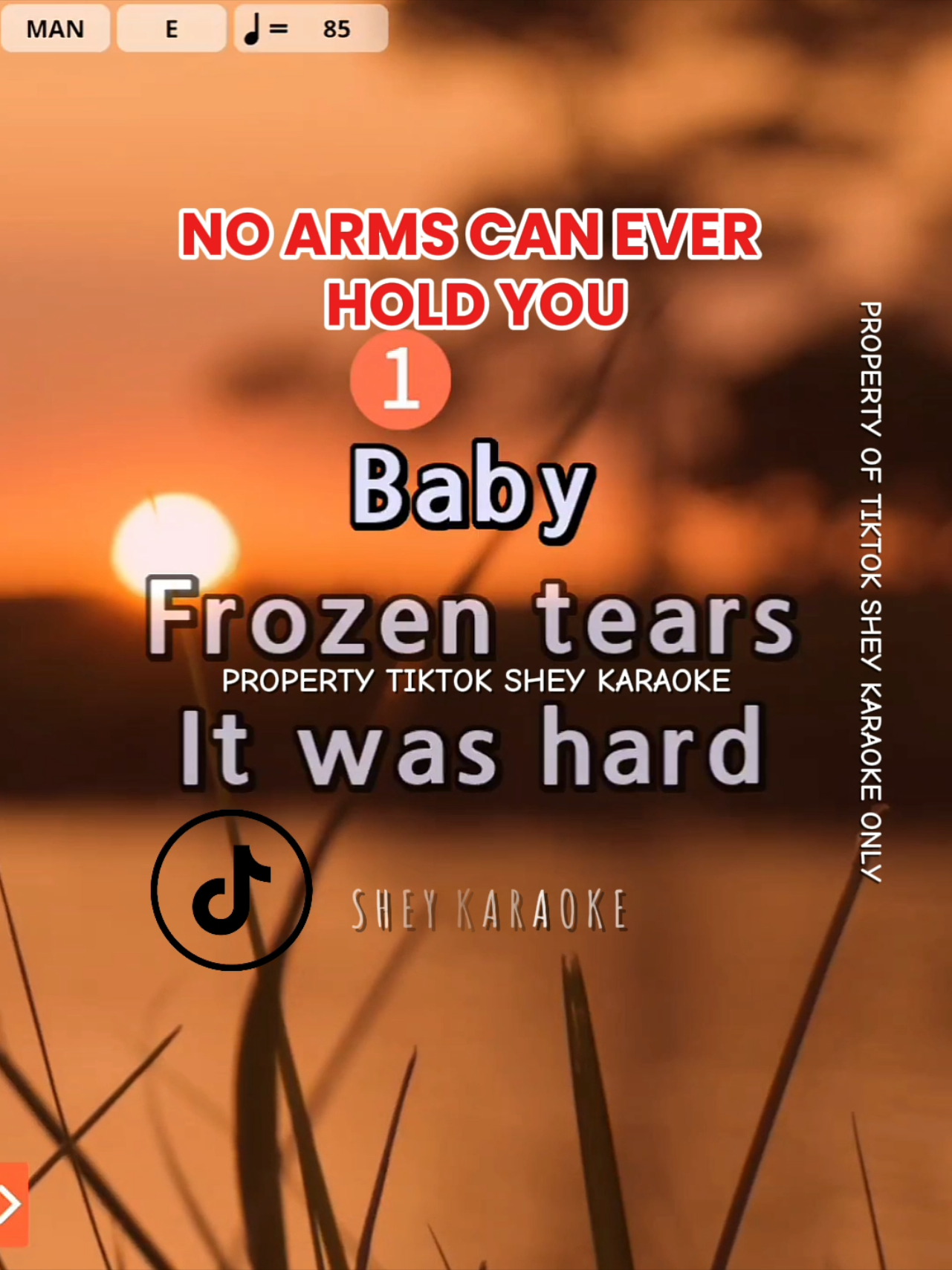 No Arms Can Ever Hold You  Karaoke Song with Lyrics #karaoke #karaoketiktok #karaokechallenge #duet #pinoytiktok #lyrics #kantahan 