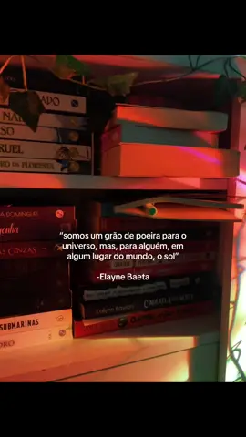 #oamornaoeobvio #elaynebaeta #coisasobviassobreoamor #cosoa #oxebaby #livro 