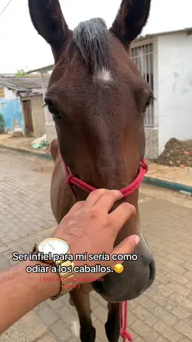 Los agros no mienten mami!!!!! 😌#agro #virał #fyppppppppppppppppppppppp 