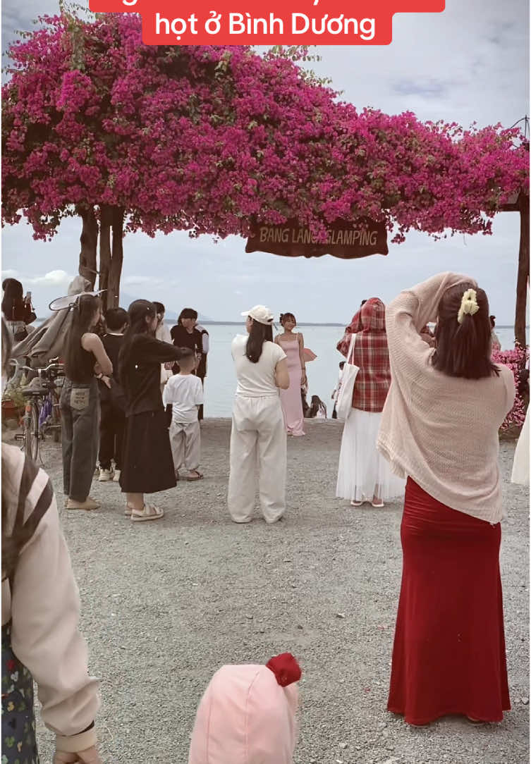 Phải nói là góc nào chụp hình củng đỉnh #diadiemcheckin #banglangtim #glamping #hodautieng #binhduong #canhdep 