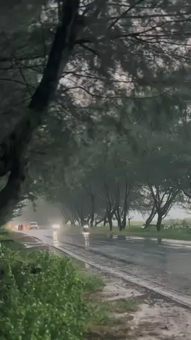 Saat hujan turun, ia memberi kesempatan untuk merenung, menyelesaikan pemikiran, dan merasakan kedamaian dalam hening.