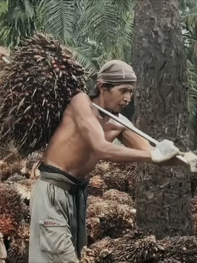 surga memang tidak terletak di telapak kaki ayah tapi ayah rela bekerja keras demi keluarganya 🥀#fypシ゚ #ayah #sadstory #bismillahfyp #xzyabc #fypage #xyzabc #fypシ゚viral #fypdonggggggg 