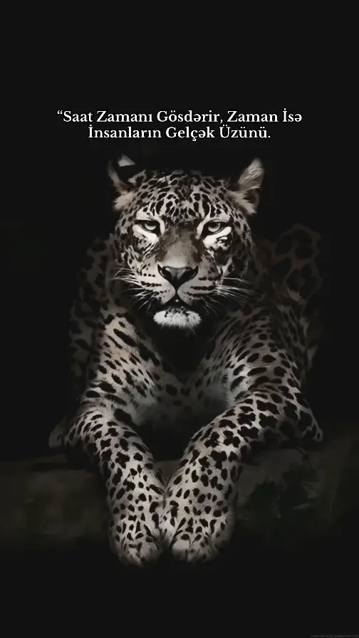 Tutacaq) #keşfettiktok #soxucusozler #storilik #azerbaycankeşfet 