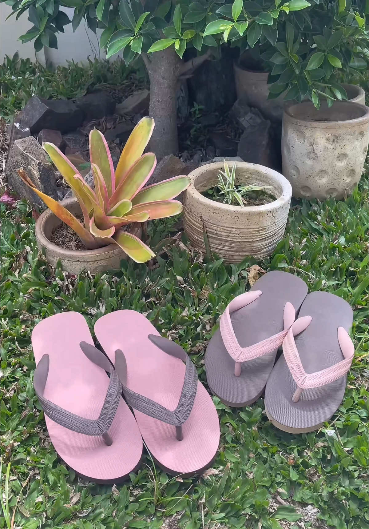 Nanyang slippers LIMITED EDITION #slippers #limitededition #NANYANG #original 