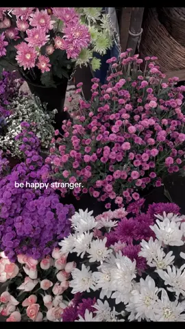 berbahagialah, meski bukan aku alasannya. #stranger 